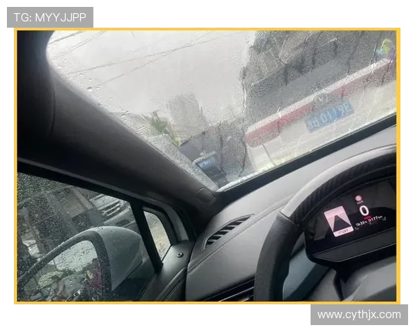 有功能不会用 司机雨天开车伸手擦窗除雾：不慎撞人致死