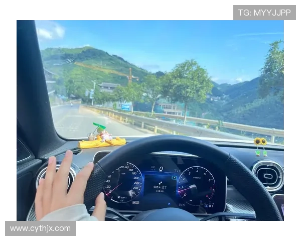 女司机晚上在高速快车道开80码 副驾驶劝都劝不动